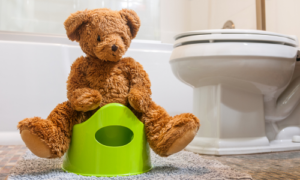 potty training tips for boys